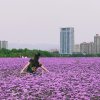 云的头像