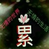 順其自然刘三姐的头像