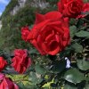 雾里看花的头像
