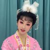 纤云的头像