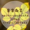 四季@疯@的头像