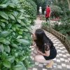 长发飘飘的头像