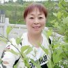 尚德华的头像