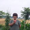 爱你就沒有后悔的头像