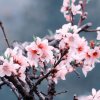 平平淡淡的头像