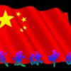 爱我中华的头像