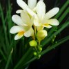 芬芳FC0956(拒币)的头像