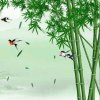 宁静致远的头像