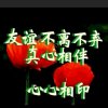 静看天空的头像