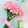 惠姐的头像