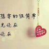 mengm的头像