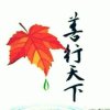 心海载舟的头像