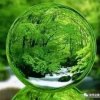 冬瓜糖的头像