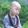 缘来开心哥的头像