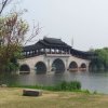 峰回路转的头像