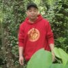 笑看红尘的头像