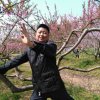 勤劳梦想主唱的头像