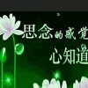 遗忘的头像