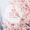nwj的头像