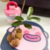 詩和遠方的头像