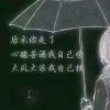 自由如风的头像