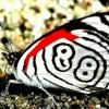 放飞心灵9999的头像