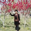 申彩如的头像