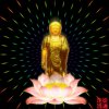 缘心的头像
