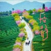 孤漠阳的头像