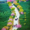 青龙☆晨曦的头像