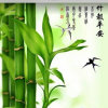 相逢是缘的头像