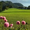 田园之韵的头像