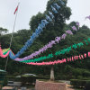 雲的头像
