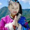 一枝梅的头像