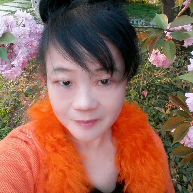 我曾用心爱着你(热度:49)由月影翻唱，原唱歌手潘美辰
