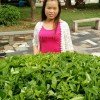 樱花天使！的头像