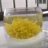 花落的头像