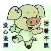 你的酒馆对我打了烊的头像