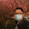 追風的头像
