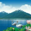 韩林的头像