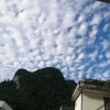 艳丽的头像