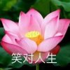 妙善的头像