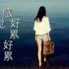 小龙女的头像