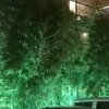 做回自己仰面微笑的头像