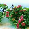 春暖花开…的头像
