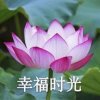 云淡风轻的头像