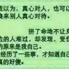 红尘绝恋的头像