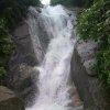高山流水的头像