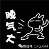 BoA的头像