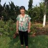 红袖的头像